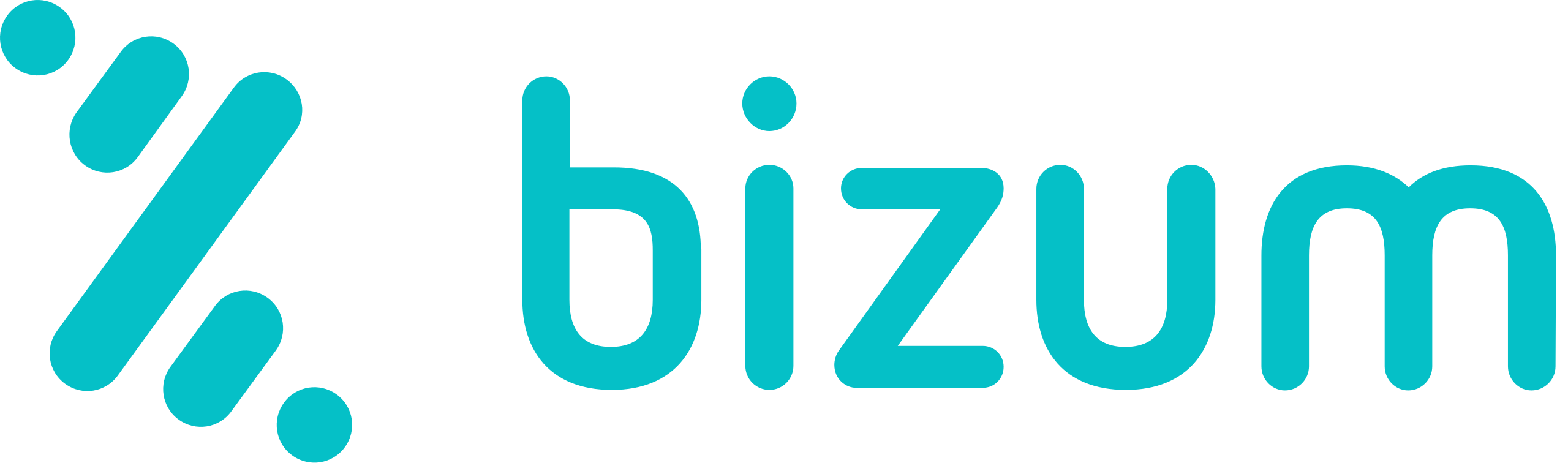 logo bizum