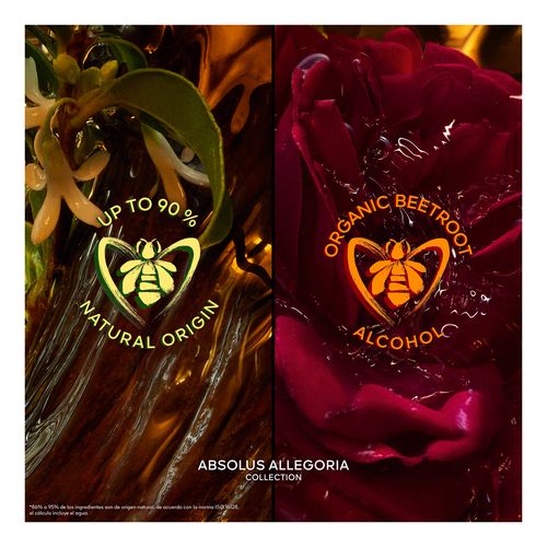 Absolus Allegoria Santal Royal Edp