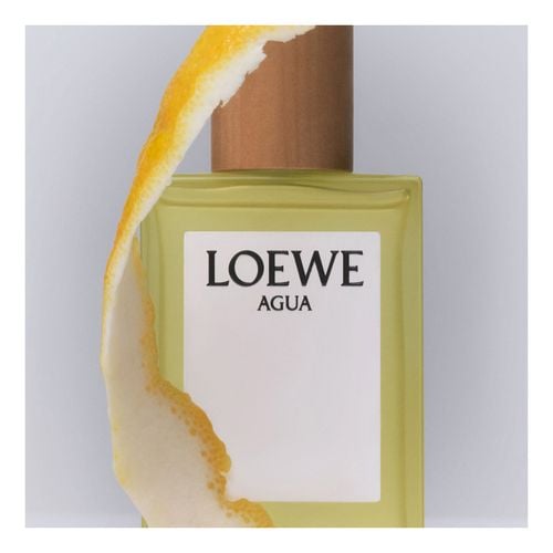 Agua de Loewe edt