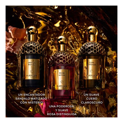 Absolus Allegoria Santal Royal Edp