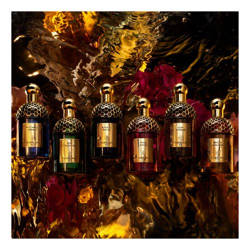 Absolus Allegoria Patchouli Ardent Edp