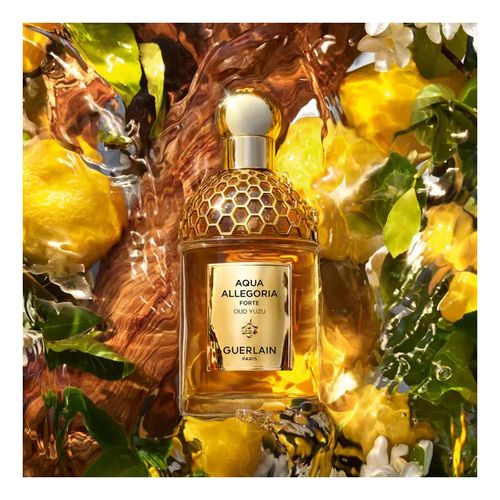 Aqua Allegoria Forte Oud Yuzu 