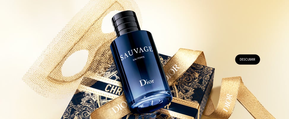 dior perfumes masculinos