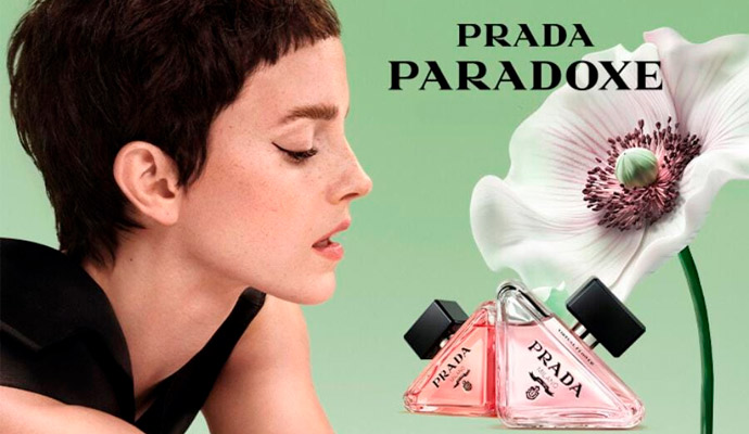 PRADA PARADOXE