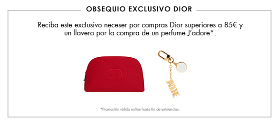 banner dior